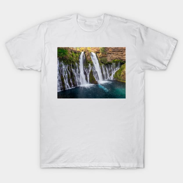 Burney Falls T-Shirt by algill